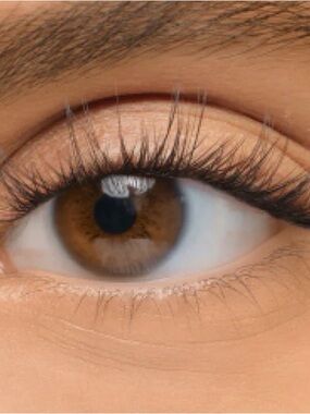 LASHIFY SD - 5 packs.